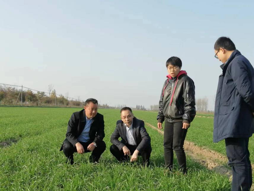 安博（中国）考察学习组赴江苏安徽两垦区考察学习高标准农田建设经验